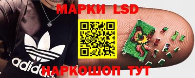 а пвп мука Беслан