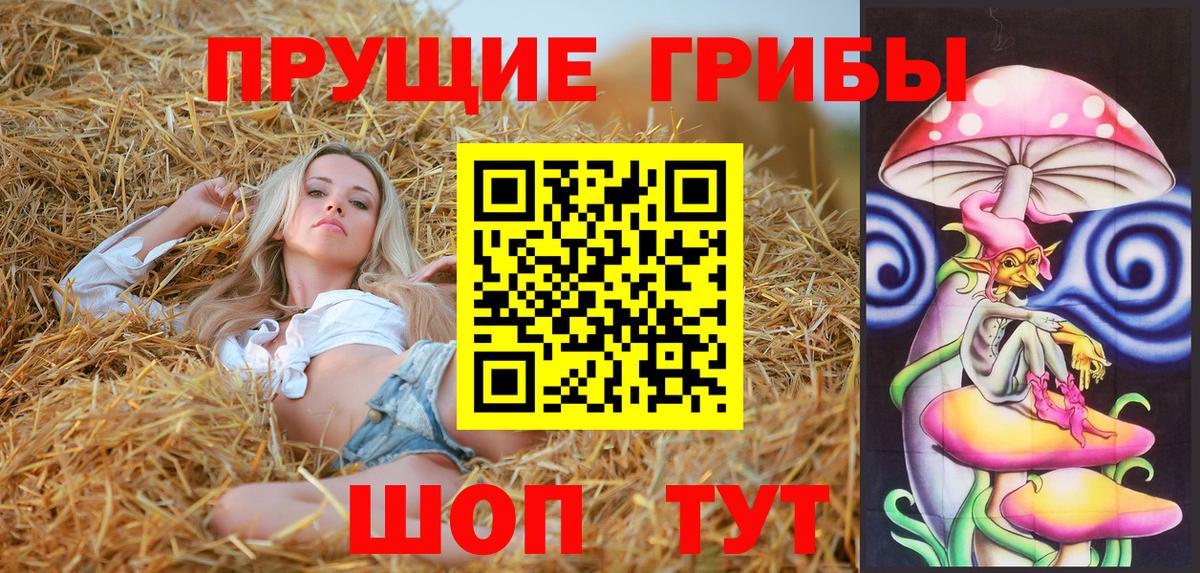 Галлюциногенные грибы Cubensis Воткинск