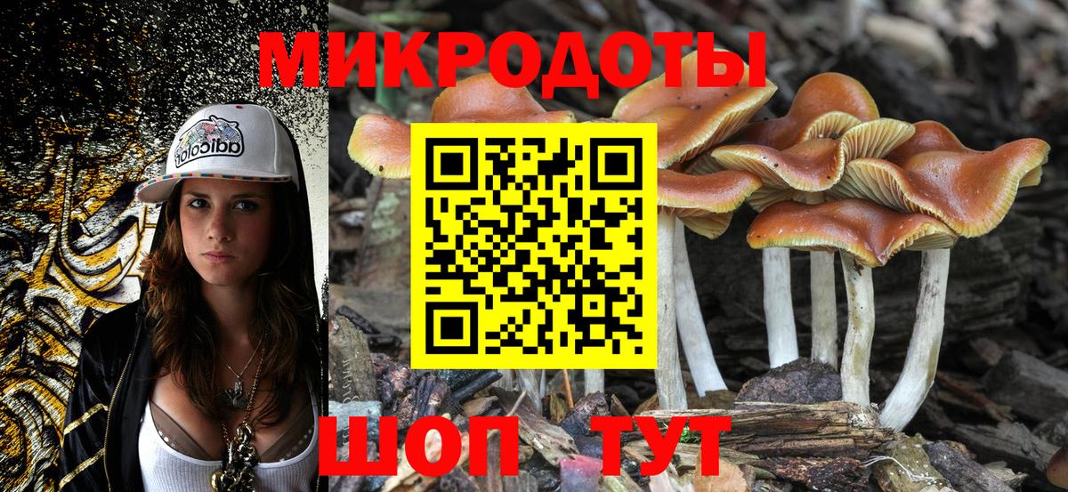 Псилоцибиновые грибы Cubensis Воткинск