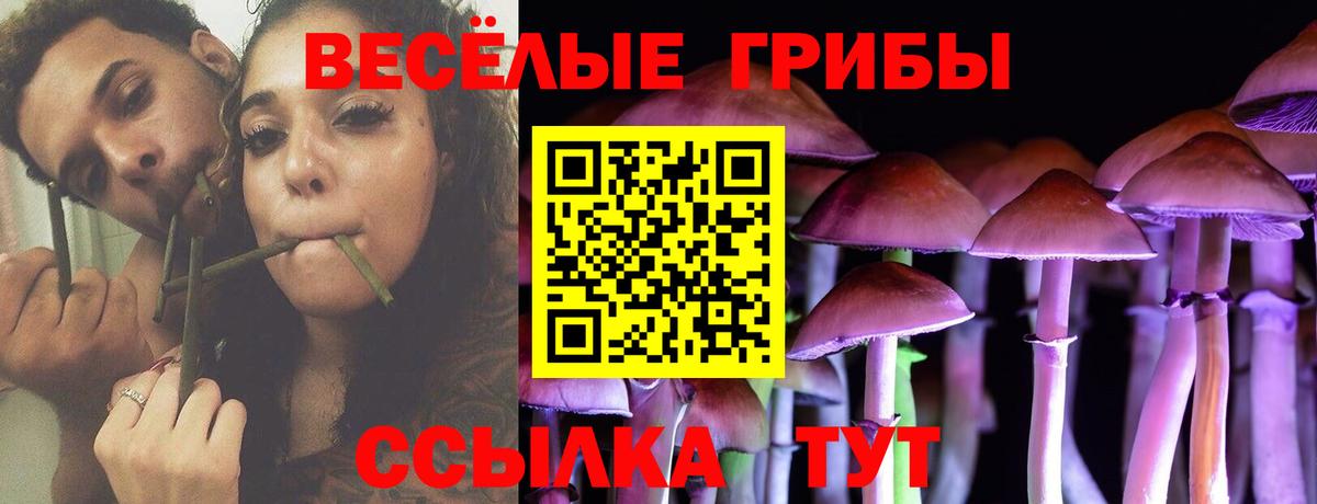дарнет шоп  Псилоцибиновые грибы ЛСД  Воткинск  Галлюциногенные грибы Magic Shrooms 
